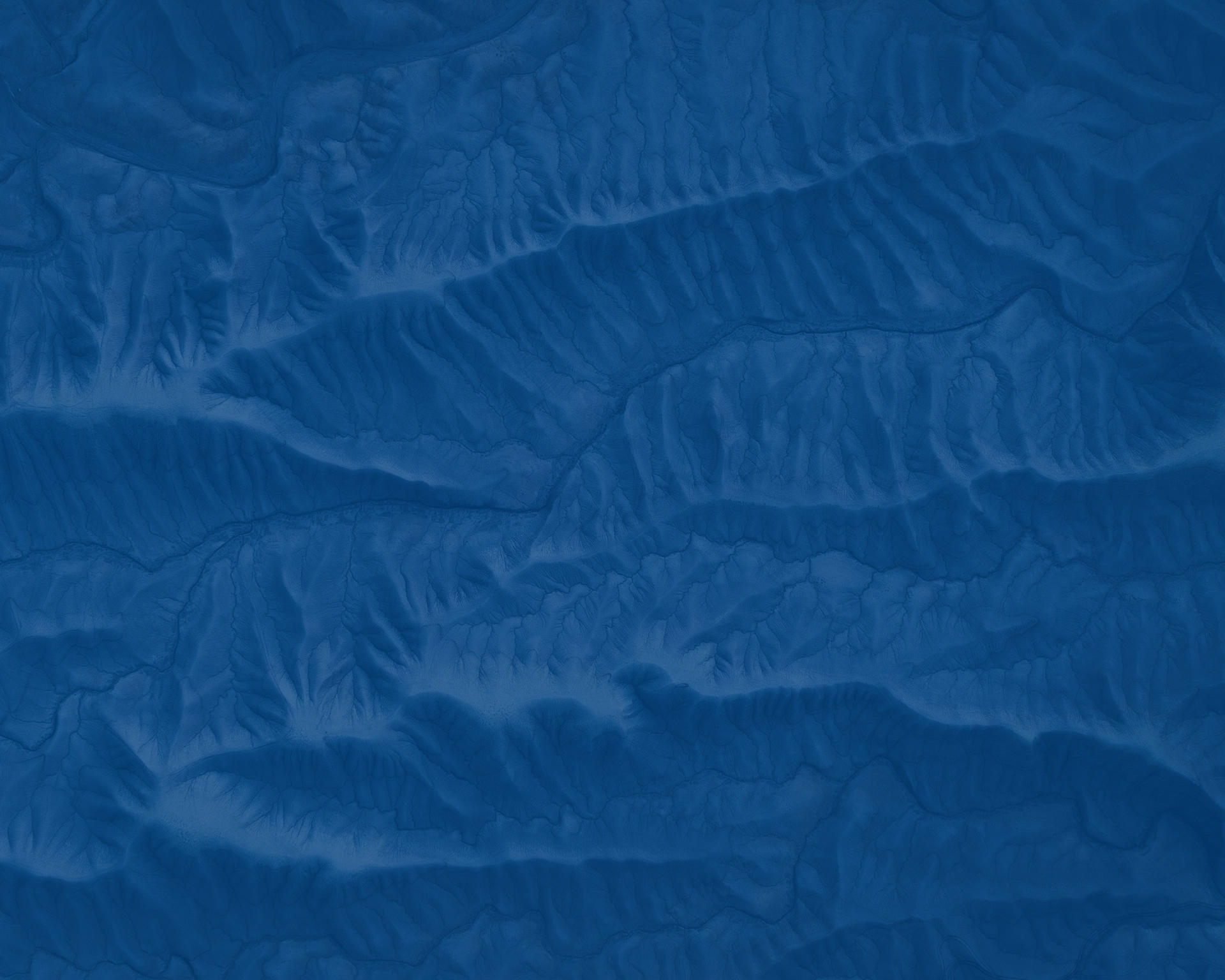 pexels-pixelcop-3812773